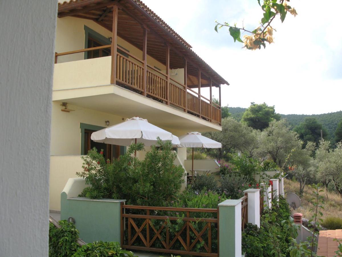 Althea Accommodation Agnontas Rum bild